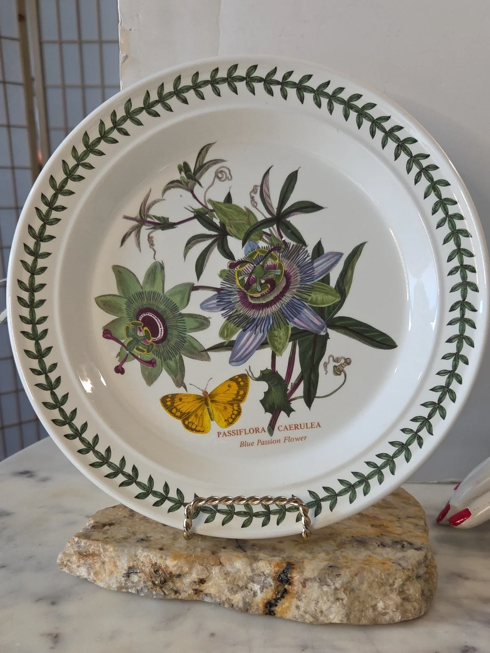 Vintage | Portmeirion The Botanic Garden Dinner Plates 10.5